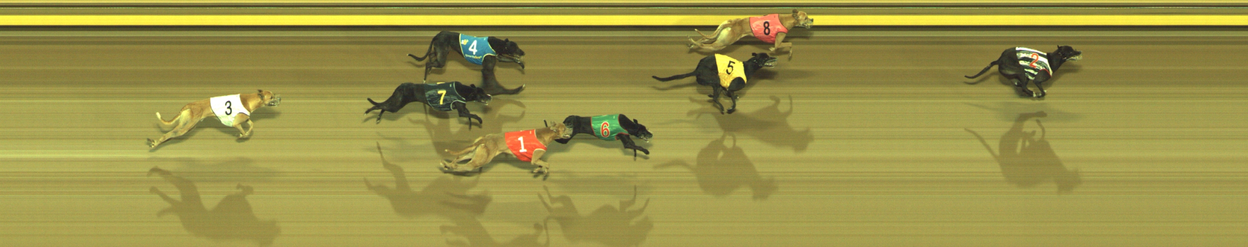 Race result finish photo